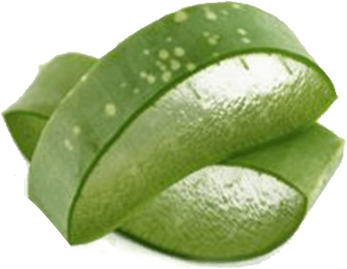 Honey | Nature's Fastest Fat Burners