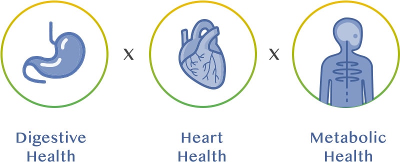 le.twsit™ | Synergistic Weight Management Formula